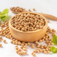 【營養師推薦】蔬食豆類健康好處多，不僅減輕身體負擔，美國黃豆永續生產的方式更能保護大自然