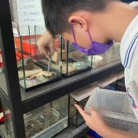 高校認養無主爬蟲　學生照顧實踐生命教育