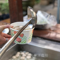 【桃園八德】休閒農場 | 自助式擔仔麵 | 角樂園農場