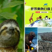 為動物發聲！動物星球頻道攜手馬來貘　《世界動物日線上影展》強力放送