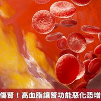 血脂超標很傷腎！ 高血脂讓腎功能惡化恐增加死亡風險