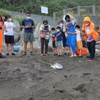 海管處再次救援海洋動物 小欖蠵龜重返大海懷抱