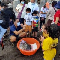 海管處再次救援海洋動物 小欖蠵龜成功野放重返大海