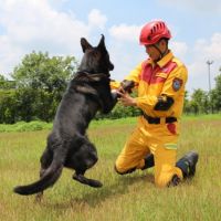 「護竹神犬」全國第一通過國際搜救犬組織IRO高級認證！市長林智堅：竹市救災能力再升級