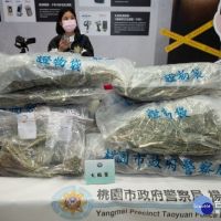 楊梅警分局溯源5層偵破大麻案　阻絕毒品流入市面