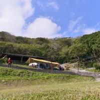 穿越山海,到花蓮高山森林基地用五感體驗森林與文化