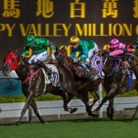 當地民眾最愛的賭博活動！香港為什麼會流行賽馬？