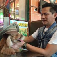 馬國賢救援6隻流浪狗　呼籲重視毛孩權益