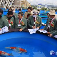2021年台灣錦鯉文化節　800尾精緻魚兒競逐