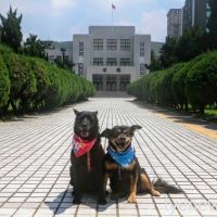 桃市動保處推廣校園認養犬貓 帶動生命教育
