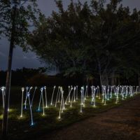 2022台灣燈會在「衛武營」，微光中的綠色之夢