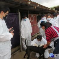 台大獸醫系師生挽起袖子　助民間動物收容所防疫