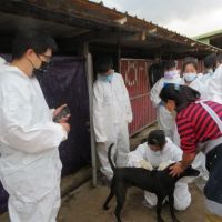 台大獸醫系師生挽袖為民間動物收容所防疫