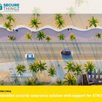 IAR Systems與Secure Thingz支援STM32 微控制器 以擴展嵌入式安全保障方案