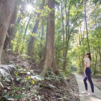 森林小旅行　蘭潭後山步道享受芬多精