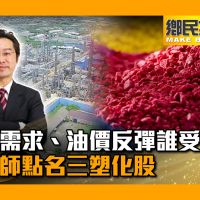 【有影】股市／疫後需求、油價反彈誰受惠？分析師點名三塑化股｜鄉民投資客