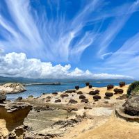 化石的寶庫 野柳地質公園巨蟲遺跡-生痕化石特展 1月23日登場