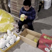 務農癌父雙手撐家 支持陽光顏損家庭寒冬送暖