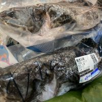 麥克瘋/游不過台灣海峽嗎?石斑魚禁藥事件成兩岸考題