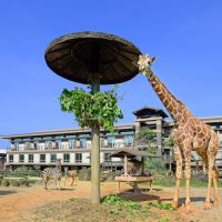 關西六福莊推大地探索之旅專案 走出都市當蜂農