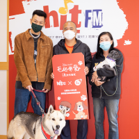 「快樂屋」土地將被收回 400多隻浪浪恐無家可歸?!