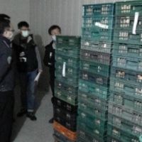 蛋價狂漲!不肖業者竄改效期 宜蘭檢調查獲170箱
