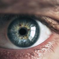 不痛不癢卻「瞬間失明」 眼中風其實有跡可循!這些人最要注意