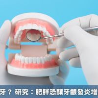 胖子容易掉牙？ 研究：肥胖恐釀牙齦發炎增加掉牙危機