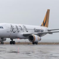 「虎虎生風」華信航空以台灣虎航 彩繪機執飛國內線金門先睹為快