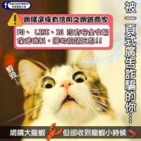 網購睜大眼 安心過好年