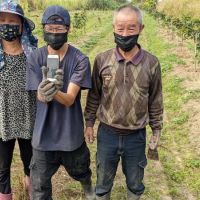 高雄智慧農業補助最高50萬元