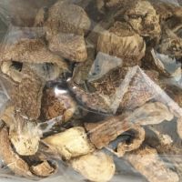 鎘超標20倍「巴西蘑菇」流入台北! 恐害嘔吐、腹瀉還傷腎