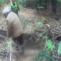 失智老人迷途困山中 岡山警搜尋助返家