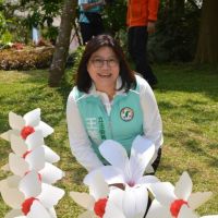 中央補助近一倍　嘉義市桐花季補助款提升為70萬元