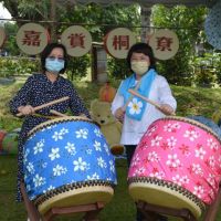 感受浪漫詩情畫意　桐花樹下賞花、聽音樂