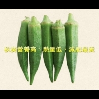 秋葵營養高、熱量低，減肥最愛｜台灣好食材