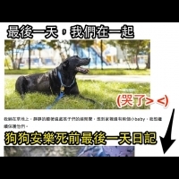 「如果再來投胎，我希望還能和家人在一起」狗狗安樂死前最後一天的日記（一邊看一邊哭><~）