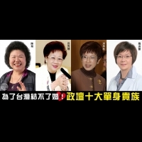 為了台灣不結婚!政壇十大單身貴族| DailyView 網路溫度計