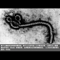 世衛：這次伊波拉疫情可透過航空交通傳播