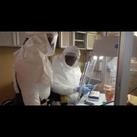 【科技新報】伊波拉病毒，是否真的無藥可醫？