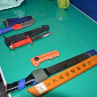 遭撞受傷不顧身　警開槍奮力逮回通緝犯