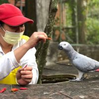 壽山動物園「動物媽咪」母親節快樂 訪談保育員細數與動物相處時光