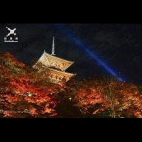 楓世界遺產日本清水寺 閑靜暖人的秋楓逸趣