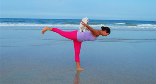 超萌療癒法！和愛犬一起「狗瑜伽」 | 健康達人網