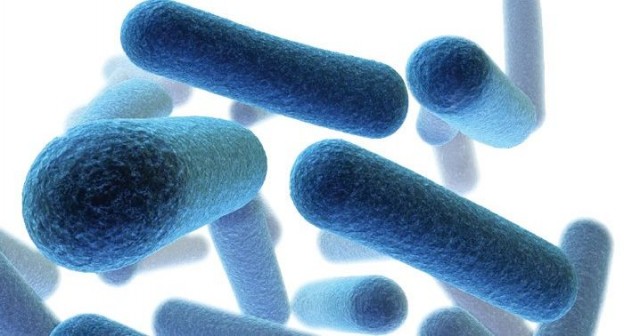 細菌耐藥性有解 英發現殺菌新方法 | 健康達人網