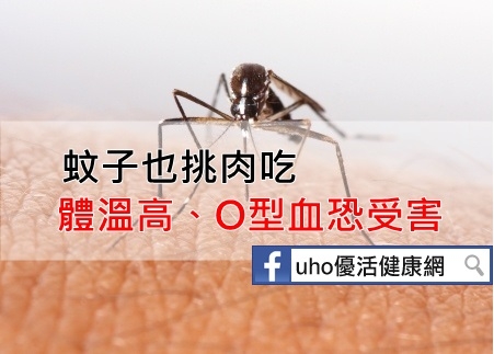 蚊子也挑肉吃體溫高、O型血恐受害