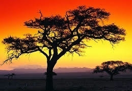 我們，還愛嗎？？