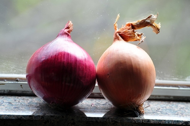 這戶農家的人一年到頭沒有感冒過。醫生發現原因，竟是因為一顆洋蔥....