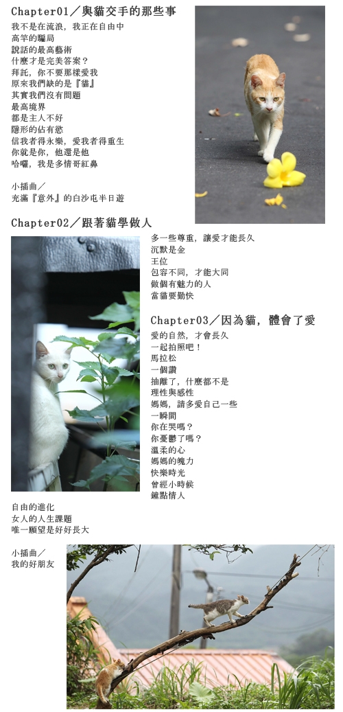 《貓在江湖：這些年，貓咪教我的事》｜悅知文化